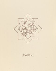 Rødspette, 1878